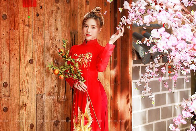 ao dai don xuan dep nhat